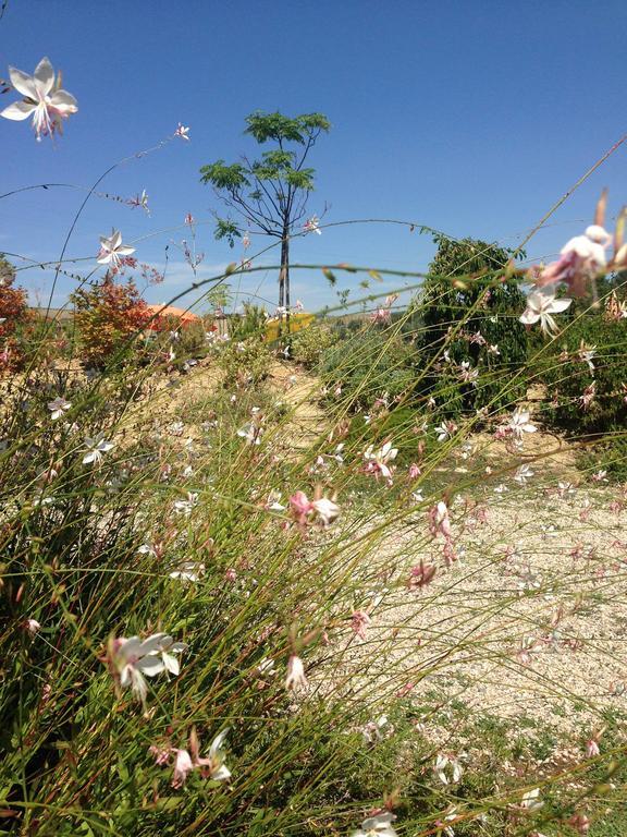 Agriturismo Cignale Penne Ngoại thất bức ảnh
