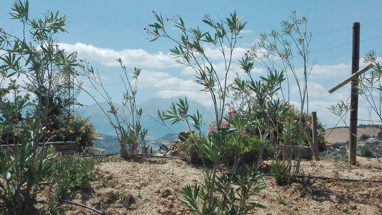 Agriturismo Cignale Penne Ngoại thất bức ảnh