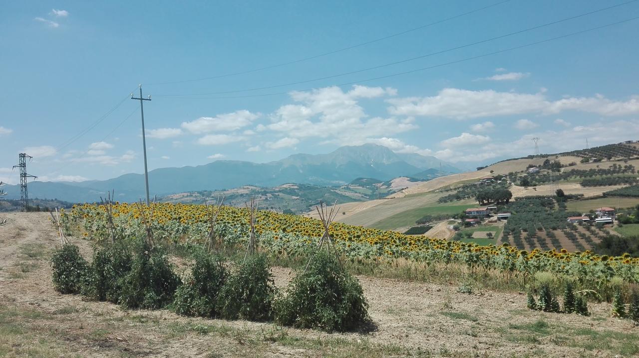 Agriturismo Cignale Penne Ngoại thất bức ảnh