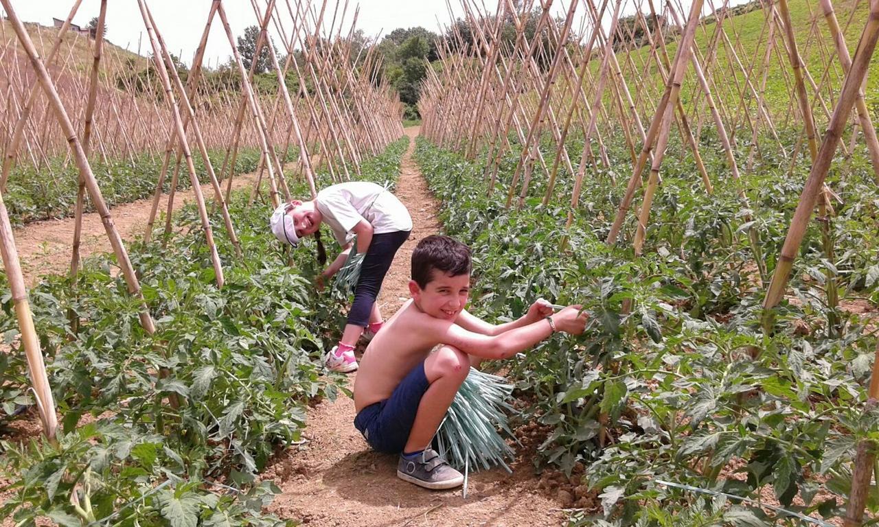 Agriturismo Cignale Penne Ngoại thất bức ảnh